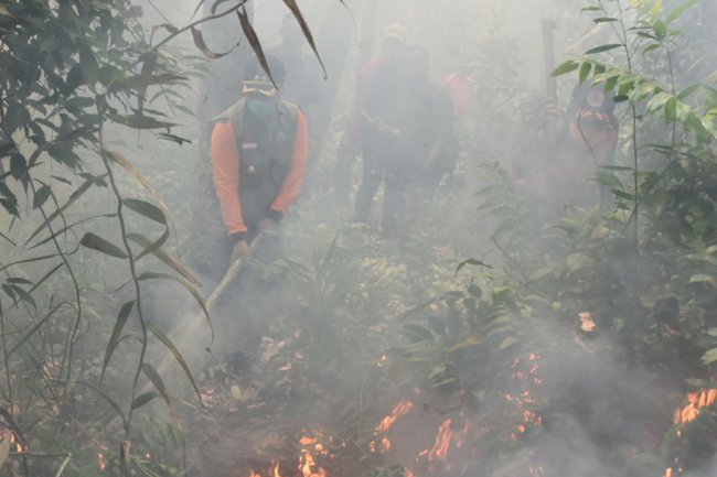 Hingga Awal Maret 2021, 120 Hektar Lahan di Bengkalis Terbakar