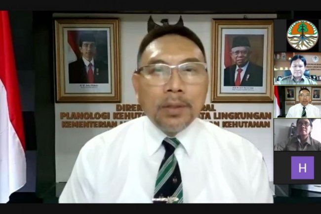 Penghentian Pemberian Izin Hutan Alam Primer dan Lahan Gambut Capai 66,18 Juta Hektar