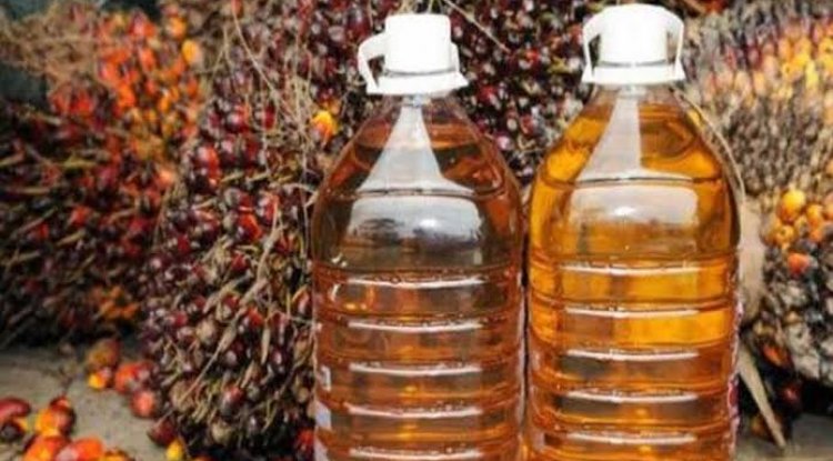 Melesatnya CPO Malaysia Berikan Dampak Positif Untuk Riau