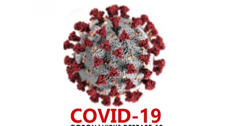 Update Corona Riau: Pasien Sembuh Tambah 71 Jadi 30.352 Orang