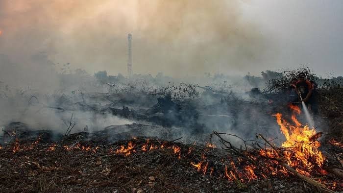 DPR RI Akan Awasi 8 Isu Berikut, Termasuk Karhutla di Riau