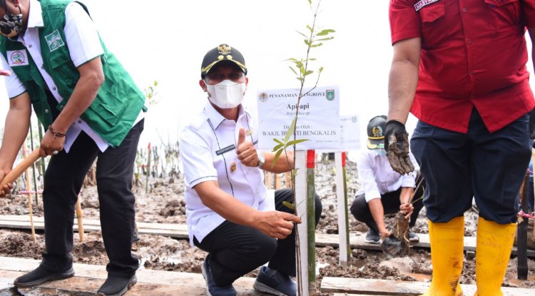 Pulau Ketam dan Payung Rupat Akan digarap untuk Wisata Alam