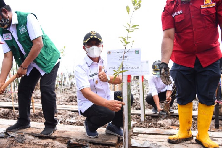 Pulau Ketam dan Payung Rupat Akan digarap untuk Wisata Alam