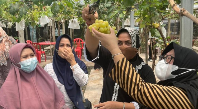  Hj Misnarni Ajak Warga Manfaatkan Pekarangan dengan Tanaman Bermanfaat