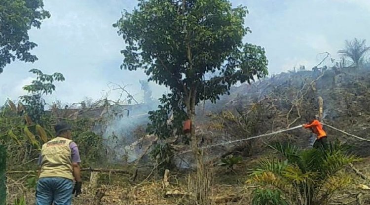 Tim Reaksi Cepat Berhasil Padamkan Kebakaran Lahan di Kampar