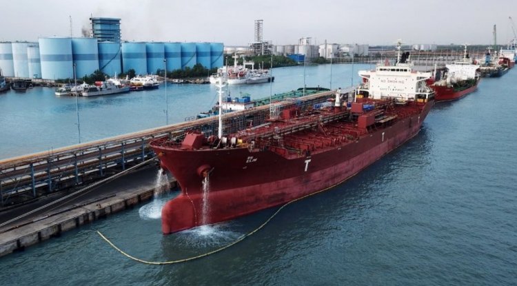 Harga CPO Meroket, TBS Kelapa Sawit Naik Minggu Ini