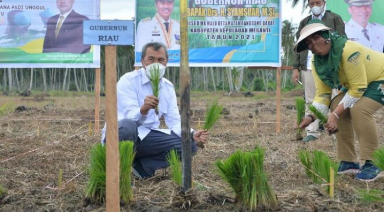 Escavator selama ini menjadi penghambat petani di Desa Bina Maju, Gubernur Riau Syamsuar Wujudkan Harapan Petani Rangsang Barat