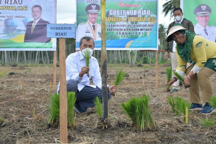 Escavator selama ini menjadi penghambat petani di Desa Bina Maju, Gubernur Riau Syamsuar Wujudkan Harapan Petani Rangsang Barat