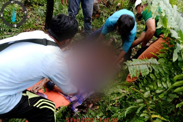  Diduga Diserang Harimau, warga di Riau Tewas Mengenaskan