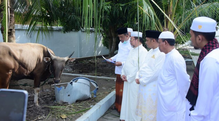 Pemkab Bengkalis Serahkan Hewan Kurban Di Masjid Agung Istiqomah Dan Masjid Mujahidin Desa Pedekik 