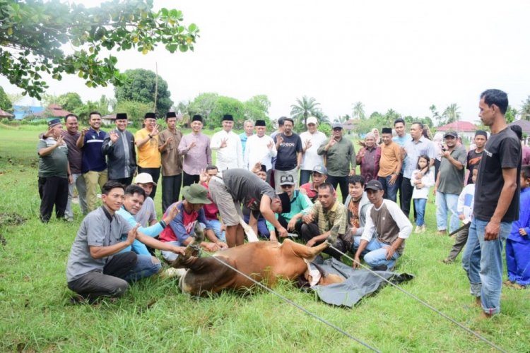 Inspektorat Daerah Kabupaten Bengkalis Kurban 4 Ekor Lembu dan 1 Ekor Kambing