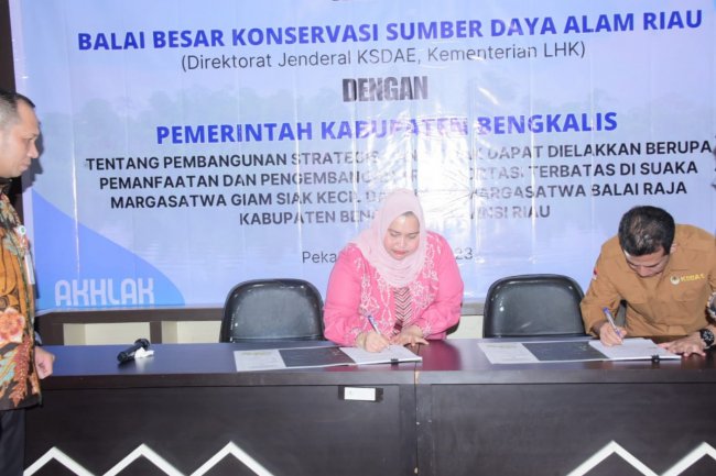 Bupati Kasmarni Tandatangani Kerjasama Dengan Kepala BKSDA Riau