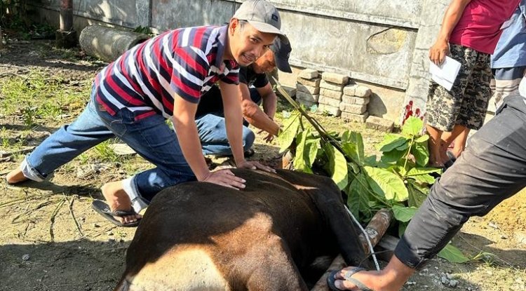 Penuh Kekeluargaan, Warga Perumahan Gesya Residence Sembelih 3 Ekor Sapi Kurban